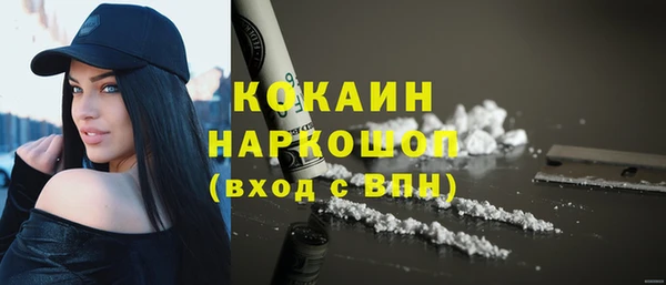 индика Балахна