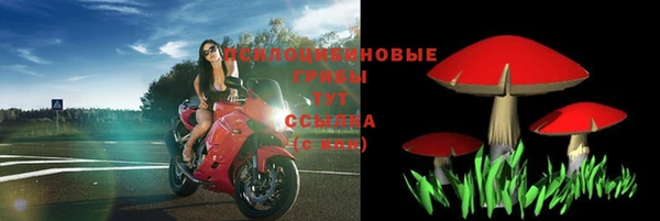индика Балахна