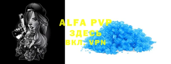 индика Балахна