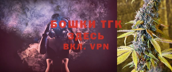 индика Балахна