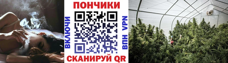 ОМГ ОМГ ссылки Новоульяновск Шишки марихуана White Widow сколько стоит
